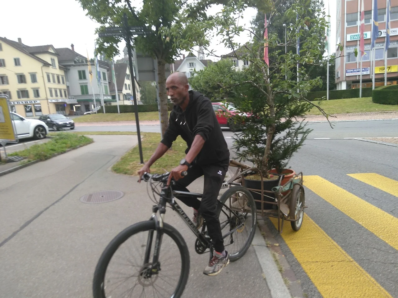 Temporäre Bepflanzung statt Parkplatz mit Christian von Pro Natura am PARK(ing) Day in Burgdorf