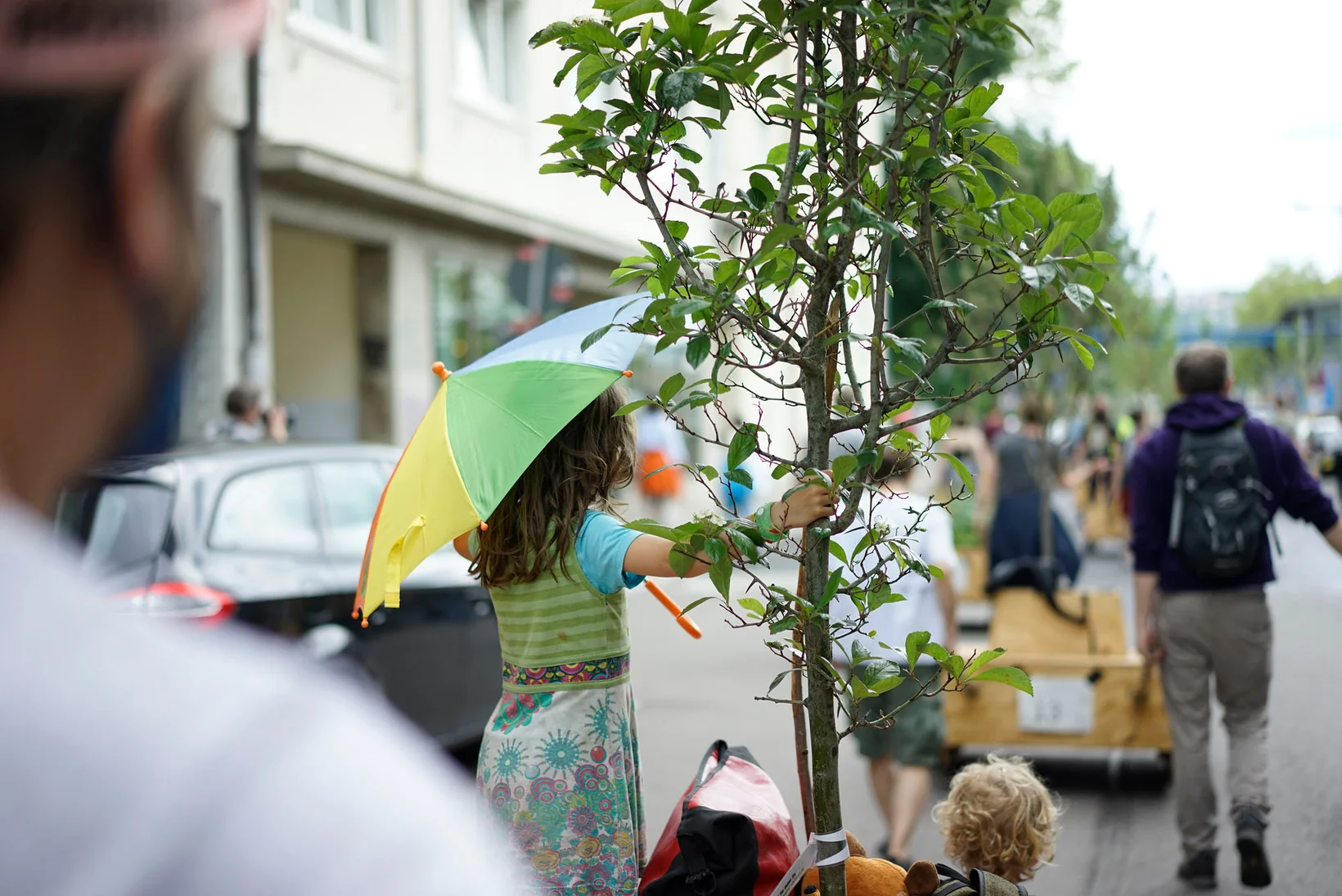 Wanderbaum Stuttgart