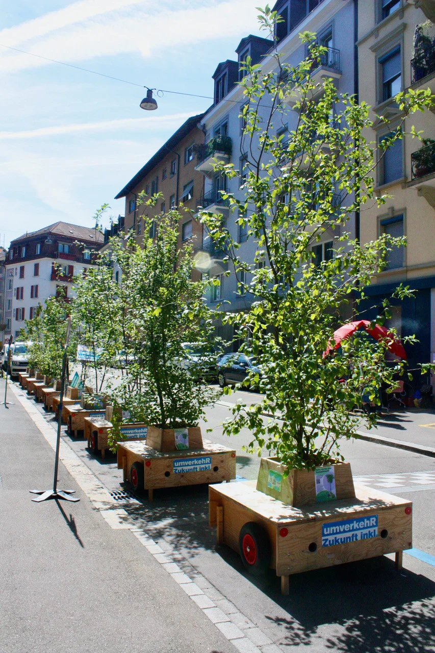 Wanderbaumallee von der Brahmsstrasse an die Idastrasse