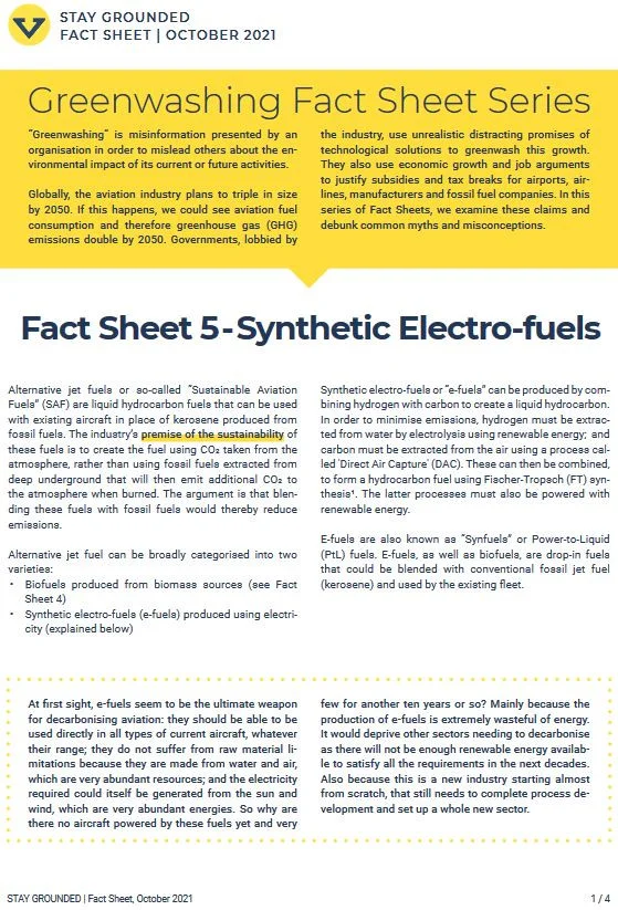 Greenwashing Factsheet Stay Grounded