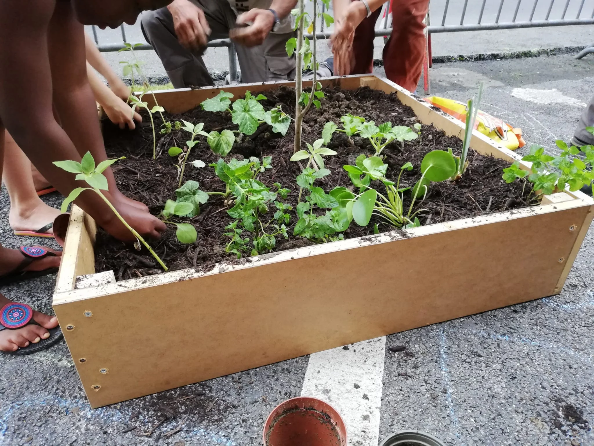 Jardin Participatif